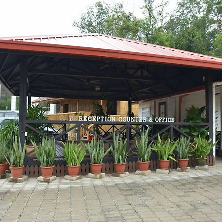 Borneo Tree House Hotel Kota Kinabalu Exterior photo