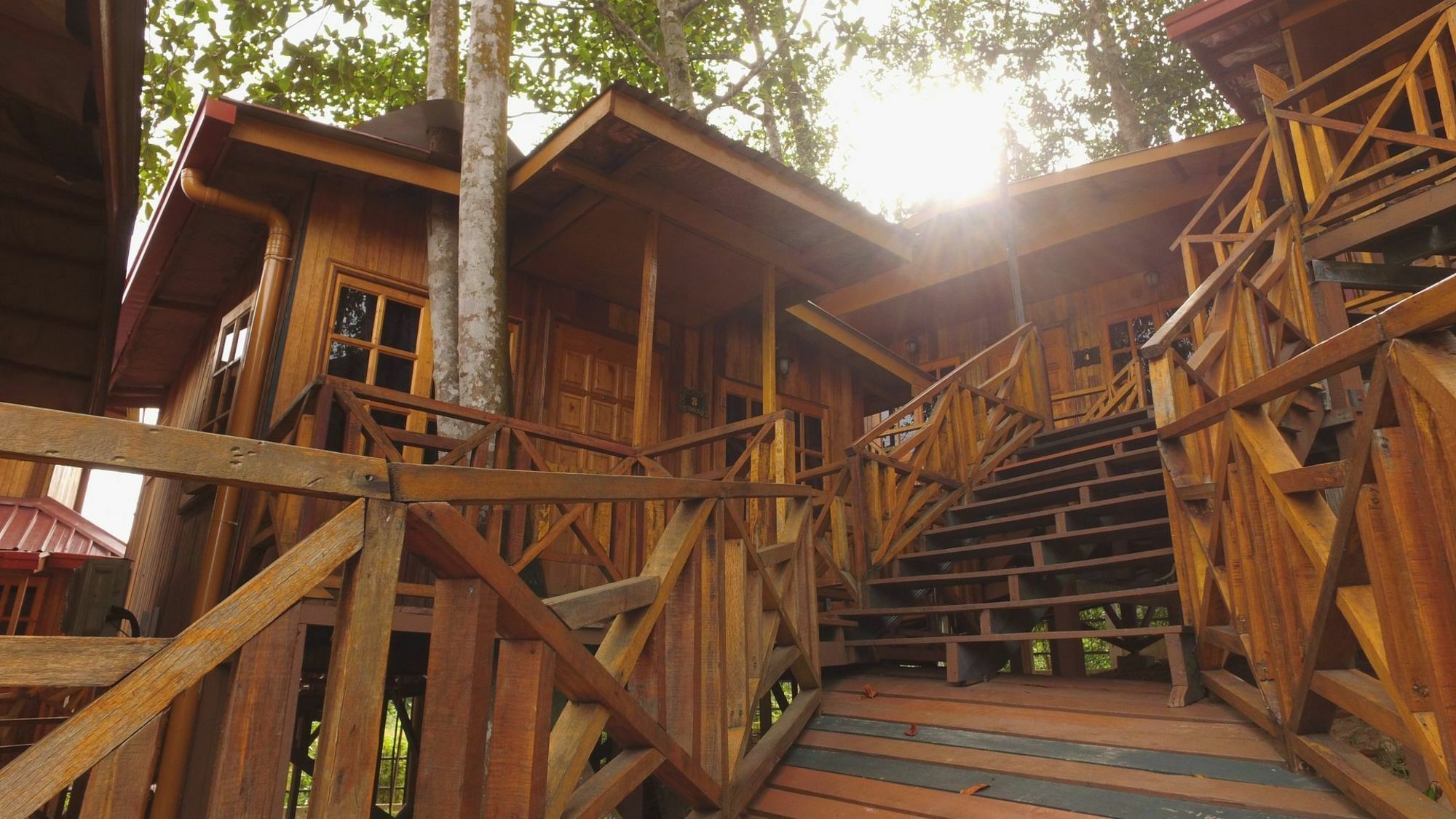 Borneo Tree House Hotel Kota Kinabalu Exterior photo